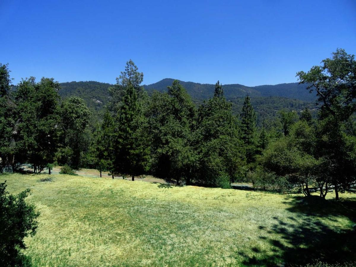 Evergreen Haus Lodge *