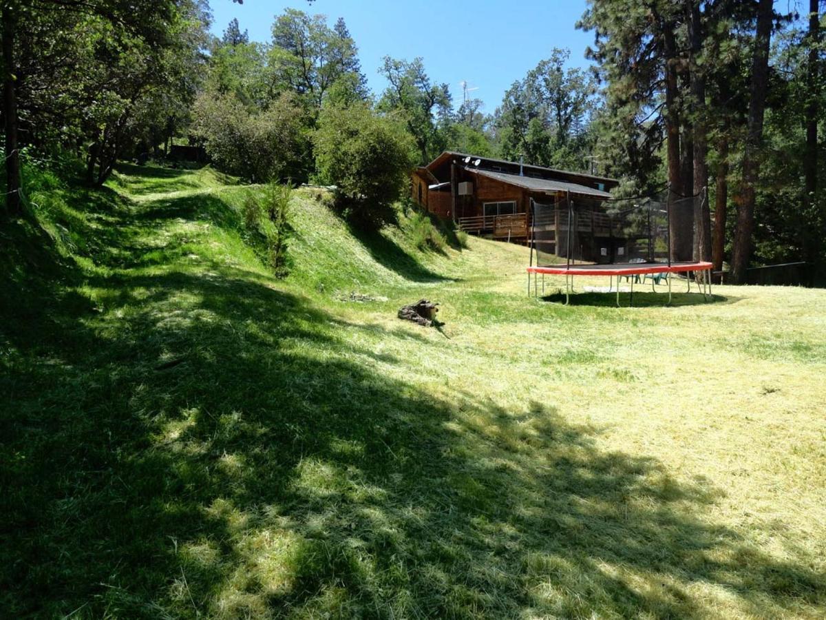 Evergreen Haus